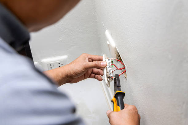 Best Electric Panel Repair  in Bolingbrook, IL